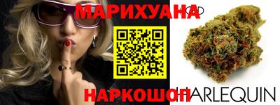 сатива Коммунар