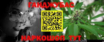 сатива Коммунар