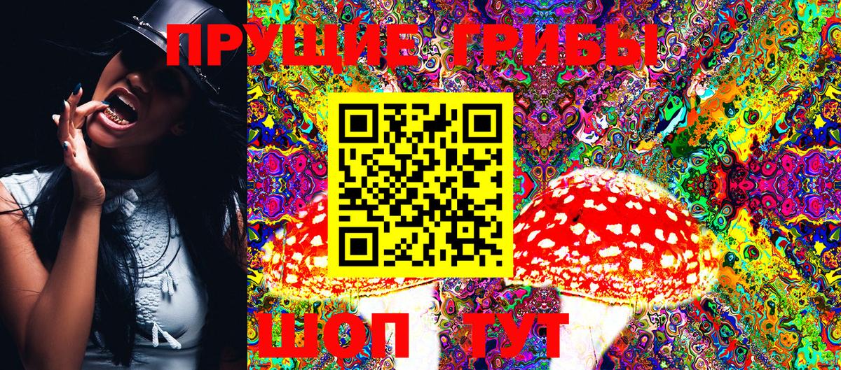Псилоцибиновые грибы GOLDEN TEACHER Железноводск